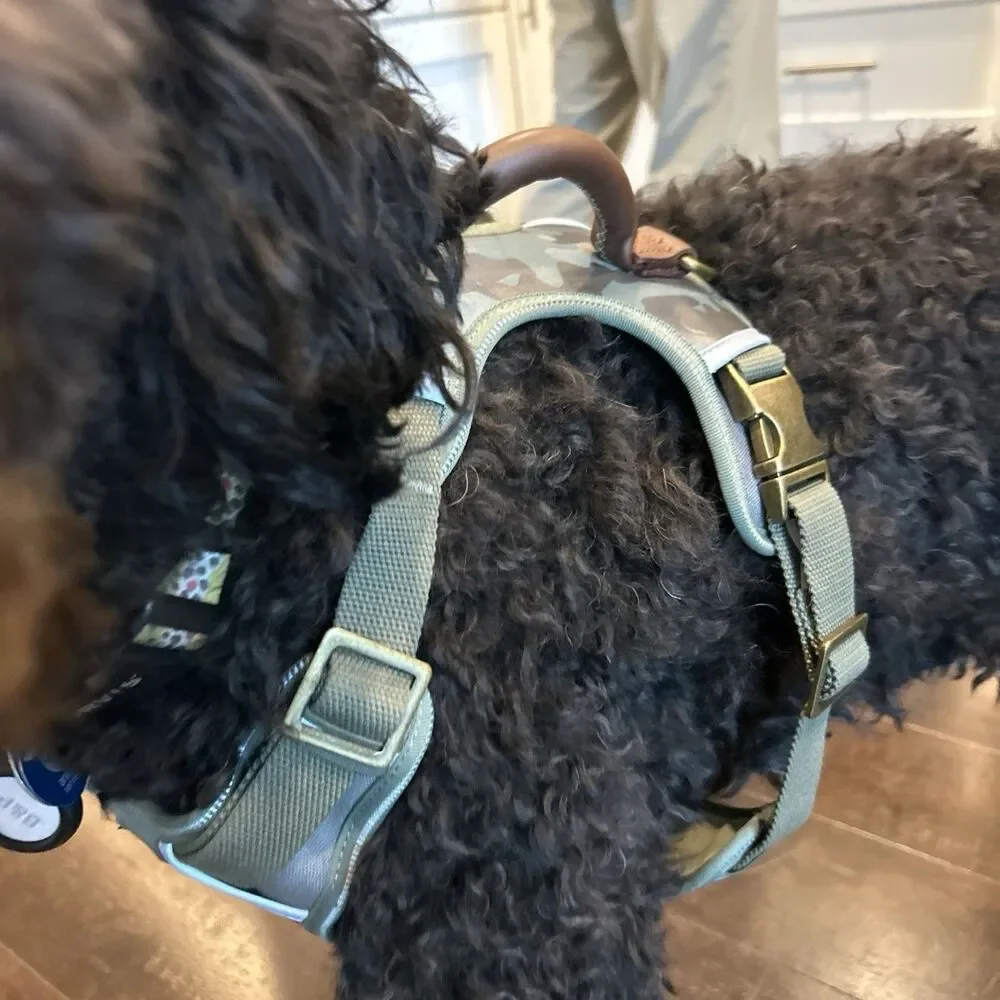 Reddy Camouflage Dog Harness Large XL Green Buckle Reddy